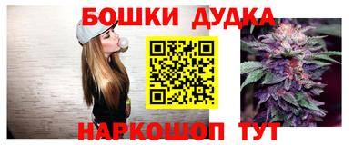 бошки Будённовск
